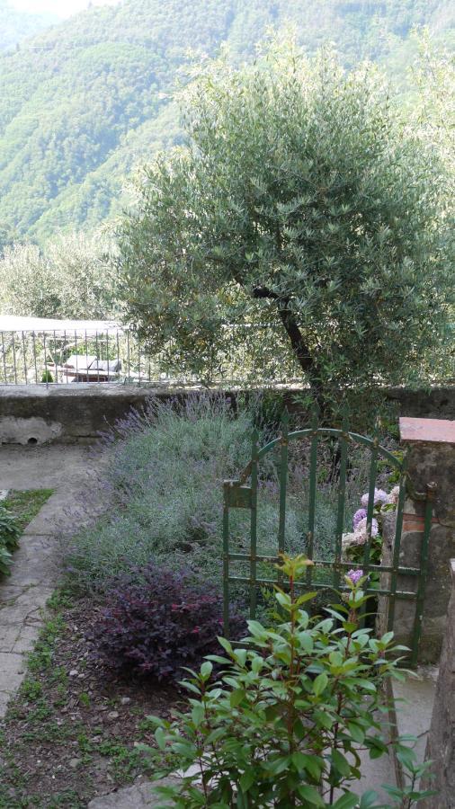 Piscina Con Vista Villa Bagni di Lucca Exterior photo